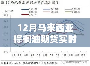 三大要点深度解析，揭秘12月马来西亚棕榈油期货实时行情