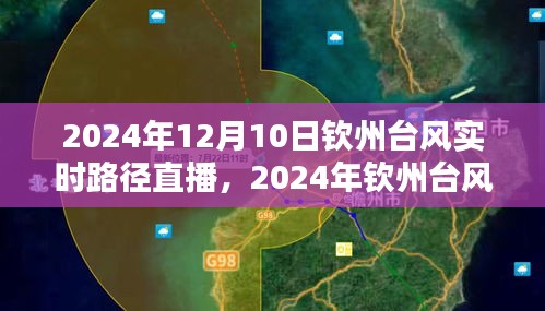 2024年12月10日 第9页