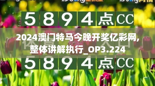 2024澳门特马今晚开奖亿彩网,整体讲解执行_OP3.224