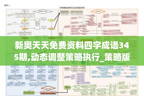 新奥天天免费资料四字成语345期,动态调整策略执行_策略版3.656