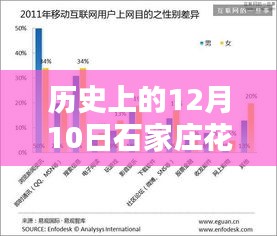 石家庄花粉浓度实时追踪与深度历史测评，十二月十日深度解读