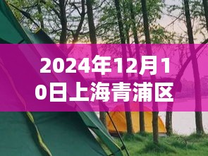 独家揭秘，上海青浦区台风实时动态与风雨中的守护与应对（2024年12月10日更新）