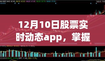 揭秘十二月十日股票实时动态app，掌握股市先机必备工具！