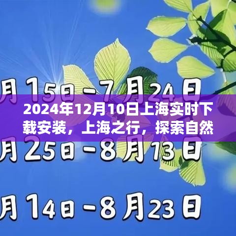 上海之行，探索自然美景，寻找内心的宁静——实时下载安装指南（2024年12月10日）