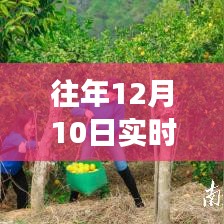 『科技赋能血糖监测，揭秘最新实时测糖神器，打造健康生活未来之选』