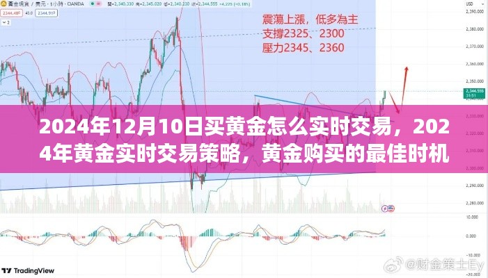 2024年黄金实时交易策略，探讨最佳购买时机与交易方式