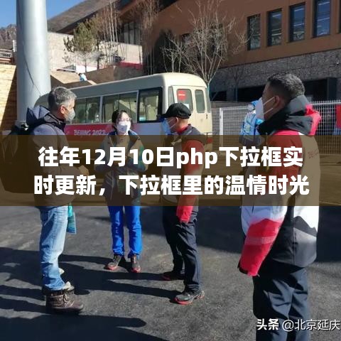 PHP下拉框的温情时光，实时更新与陪伴的爱