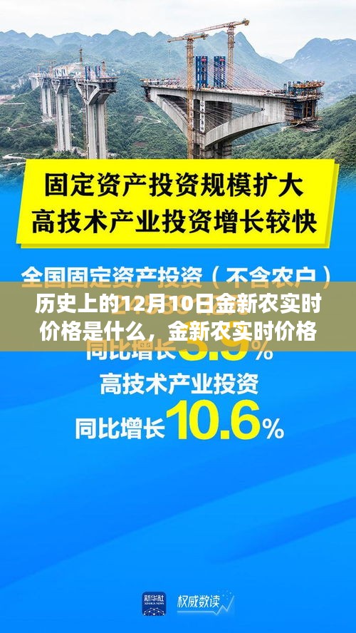 历史上的金新农实时价格揭秘，科技重塑价值感知之旅的探寻之路（12月10日）