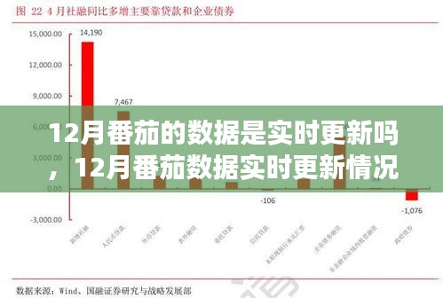 12月番茄数据实时更新情况深度解析，数据更新频率与准确性探讨