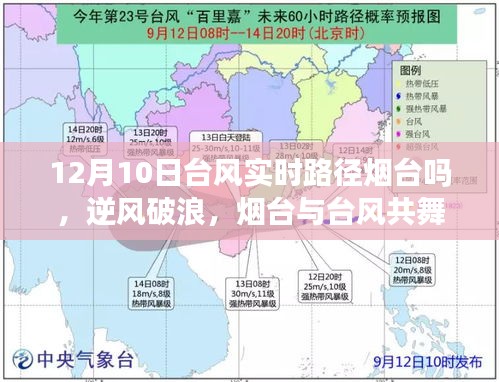 烟台与台风共舞，逆风破浪，实时路径下的力量与自信展现