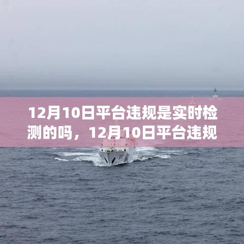 12月10日平台违规行为实时检测，背景、事件、影响与时代地位分析