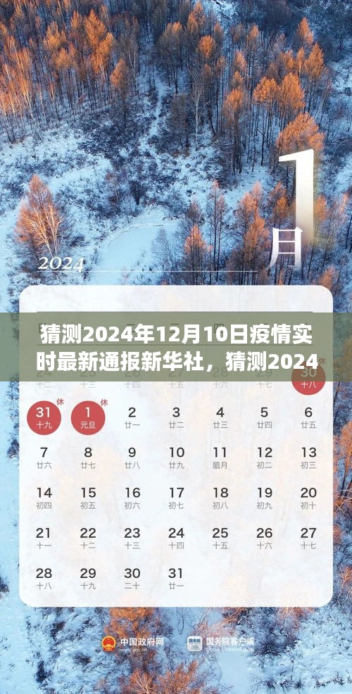 2024年12月10日疫情实时最新通报，新华社的视角洞察与解析