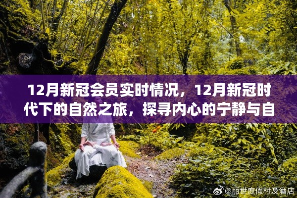 探寻自然之旅，在新冠时代下的内心宁静与自然的馈赠——十二月实时情况解析