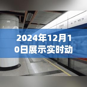 2024年12月10日展示实时动态解析，揭示背后的意义与影响