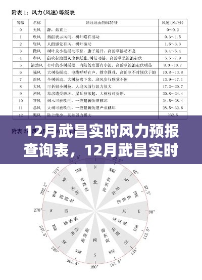 武昌十二月实时风力预报查询表详解，全方位操作指南