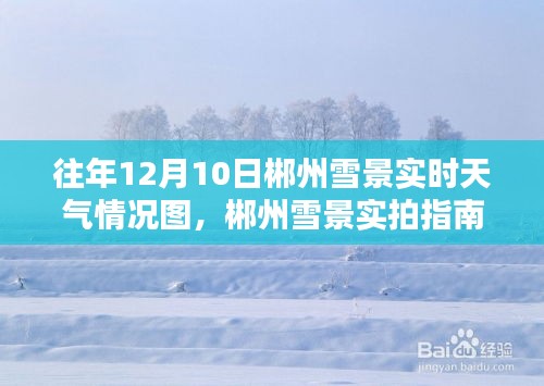 往年12月10日郴州雪景实拍与天气探索，实时情况图和指南