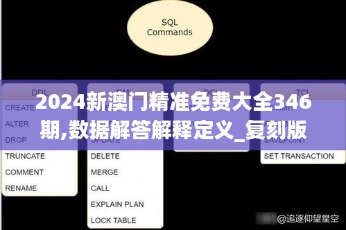 2024新澳门精准免费大全346期,数据解答解释定义_复刻版18.227