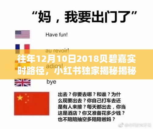 独家揭秘，贝碧嘉台风在往年12月10日2018实时路径深度解析及应对策略揭秘！