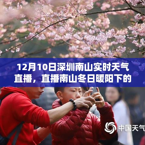 深圳南山冬日暖阳下的温情日常实时直播