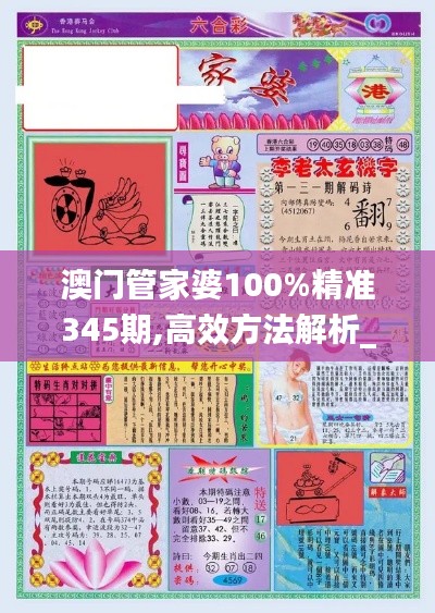 澳门管家婆100%精准345期,高效方法解析_至尊版3.250