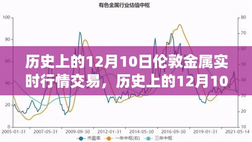 2024年12月11日 第3页