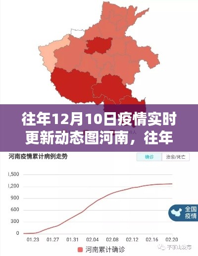 往年12月10日河南疫情实时更新动态图解析与回顾