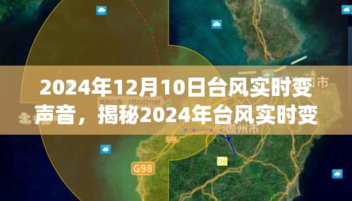 揭秘，台风实时变化与应对策略——影响及应对台风之声的探讨（2024年12月）