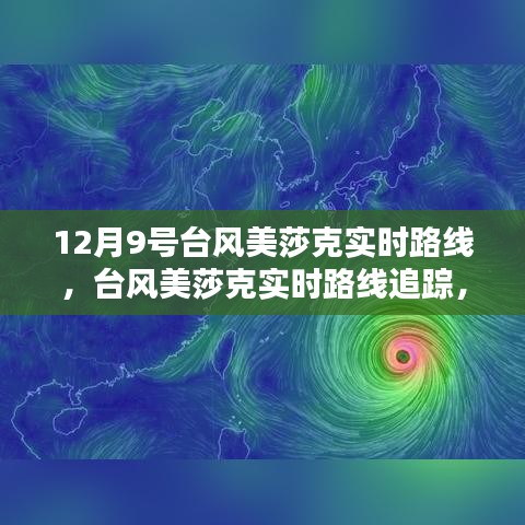 台风美莎克实时路径追踪与深度解析，12月9日路径动态及对影响的分析