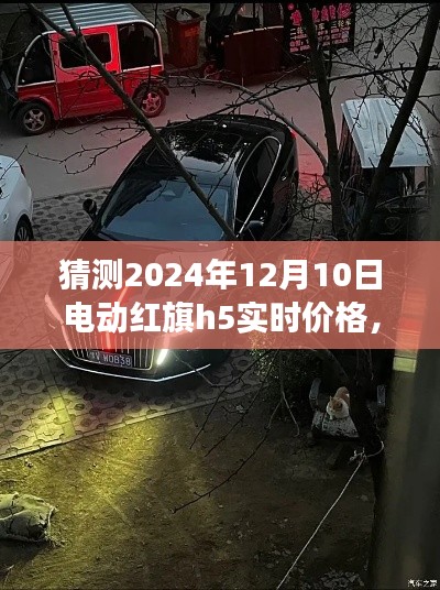 揭秘小巷深处的隐藏宝藏，电动红旗H5的神秘价格之旅，预测2024年实时价格！