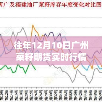 广州菜籽期货行情走势与科技智能分析系统引领市场新纪元揭秘