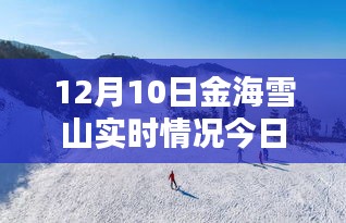 金海雪山最新科技产品发布，颠覆性体验开启智能生活新纪元