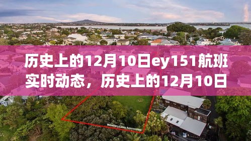 历史上的12月10日EY151航班实时动态揭秘与启示