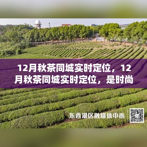 12月秋茶同城实时定位，时尚还是必需？