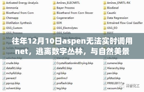 逃离数字丛林，与自然美景共舞的心灵之旅，往年12月10日Aspen联网问题解析