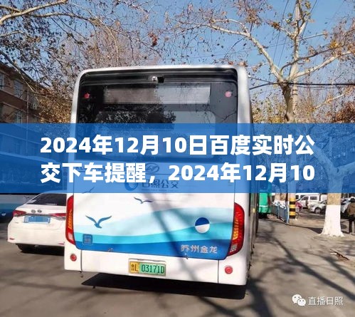 百度实时公交下车提醒，开启心灵的自然之旅，2024年12月10日实时更新