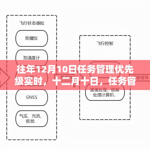 任务管理与爱的碰撞，十二月十日的温馨优先纪事