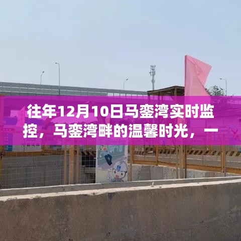 马銮湾畔的温馨时光，实时监控下的特别之旅