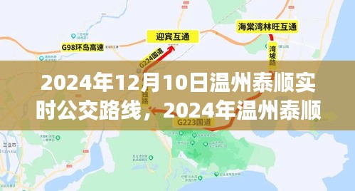 2024年温州泰顺实时公交路线指南，最新公交路线一网打尽