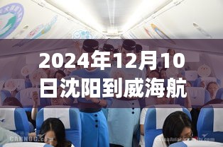 沈阳至威海航班背后的励志故事，飞翔的梦想实时追踪（2024年12月10日）