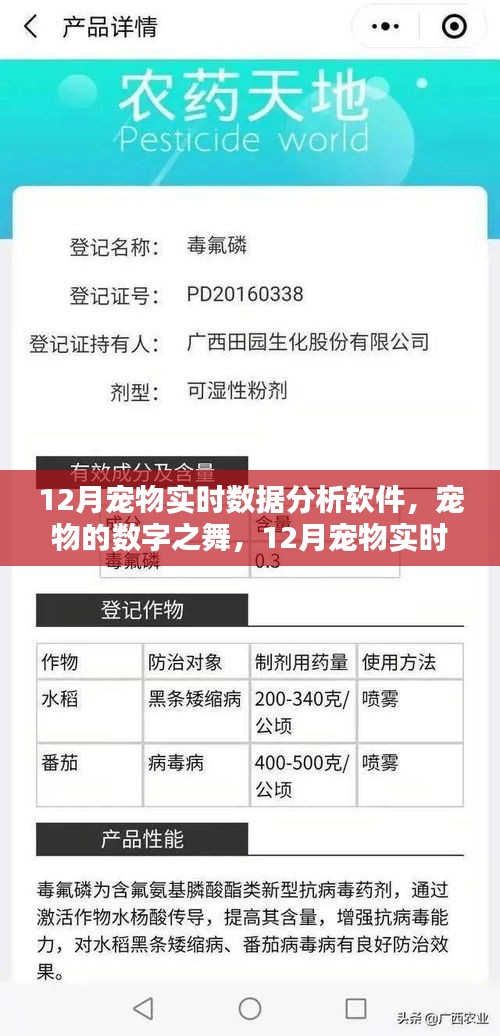 揭秘宠物数字之舞，深度探索12月宠物实时数据分析软件