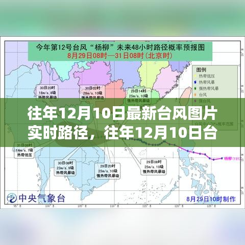 往年12月10日台风动态及实时路径分析，正反观点探讨与图片解读