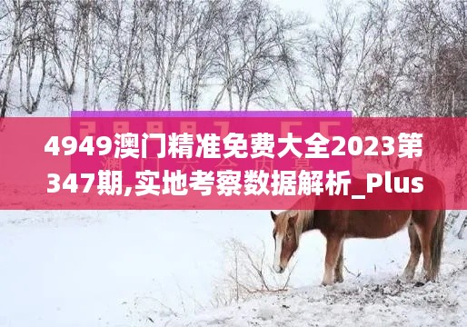 4949澳门精准免费大全2023第347期,实地考察数据解析_Plus8.930