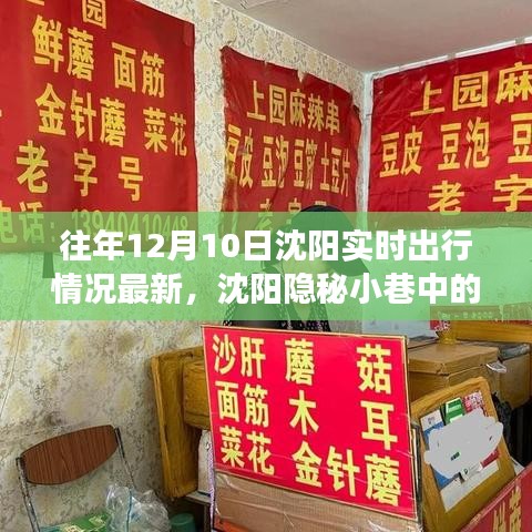 沈阳特色小店实时出行故事，隐秘小巷的惊喜与日常出行情况回顾