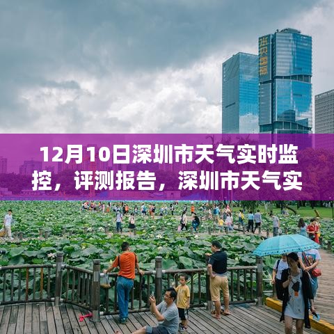 深圳市天气实时监控深度解析及评测报告（XXXX年12月10日）