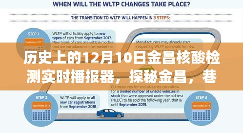 探秘金昌，核酸检测实时播报器的历史与故事深度解析