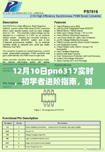 初学者进阶指南，如何在12月10日利用pn6317完成实时任务攻略