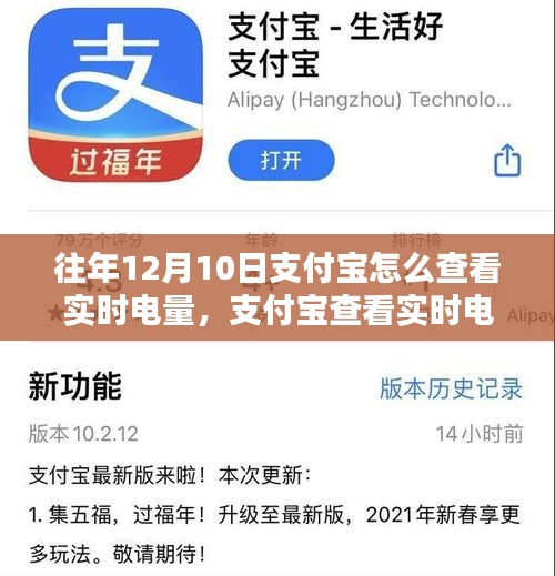 支付宝查看实时电量步骤指南，历年12月10日操作指南（初学者与进阶用户适用）