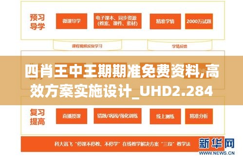 四肖王中王期期准免费资料,高效方案实施设计_UHD2.284