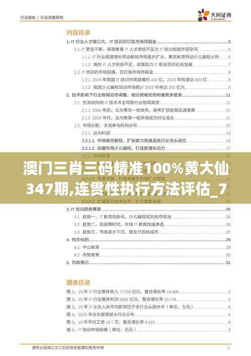 澳门三肖三码精准100%黄大仙347期,连贯性执行方法评估_7DM7.678