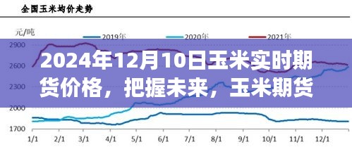 2024年12月12日 第8页